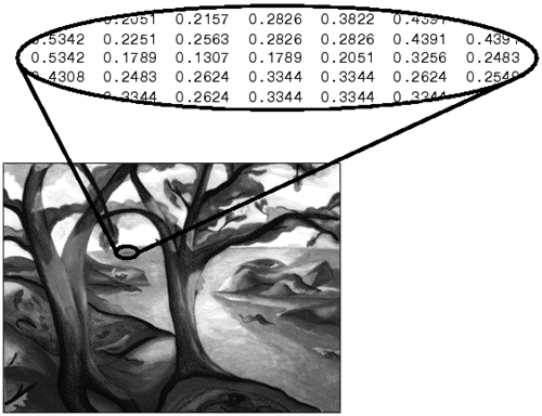 GrayscaleImages s