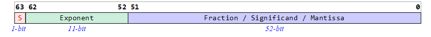 IEEE754 Double Precision Format